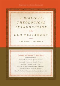 Image of A theological Introduction to the Old Testament