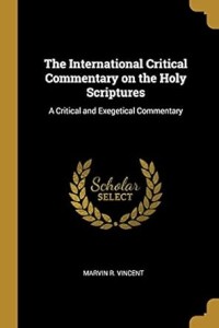 Image of International critical commentary on the Holy Spirit