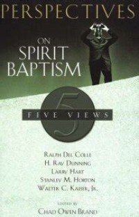 Image of Perspectives on spirit baptism: five views
