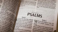 Image of Psalms: Commentary on the Old Testament