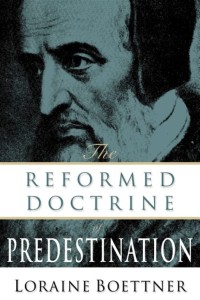 Image of The reformed doctrine of predestination